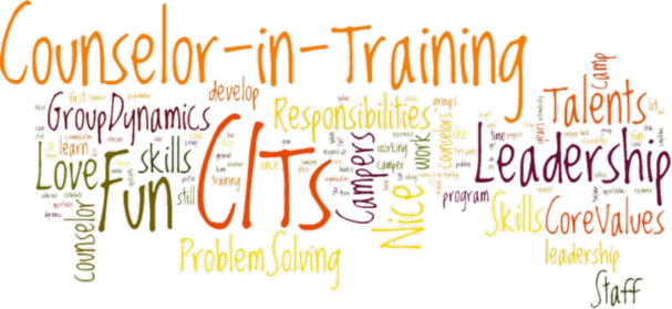 Counselor in training