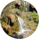 Roberto Guil Roberto Guil