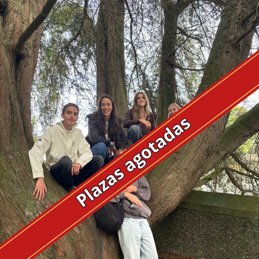 Work Experience in Coleraine Irlanda del Norte